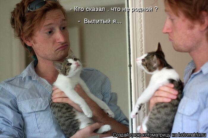 Котоматрица: - Кто сказал . что не родной ? -  Вылитый я...