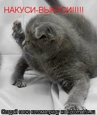 Котоматрица: НАКУСИ-ВЫКУСИ!!!!!