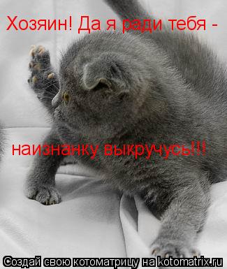 Котоматрица: Хозяин! Да я ради тебя - наизнанку выкручусь!!!