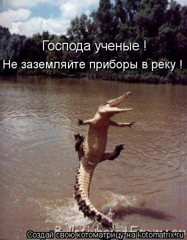 Господа ученые ! Не заземляйте приборы в реку !... Котоматрица: Господа ученые ! Не заземляйте приборы в реку !