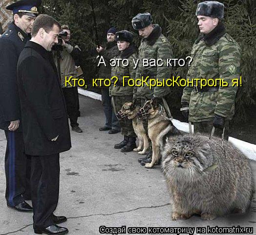 Котоматрица: А это у вас кто? Кто, кто? ГосКрысКонтроль я!