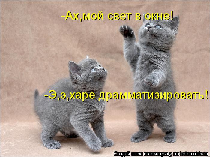 Котоматрица: -Ах,мой свет в окне! -Э,э,харе драмматизировать!