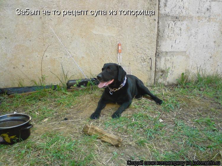 Котоматрица: Забыл че то рецепт супа из топорища