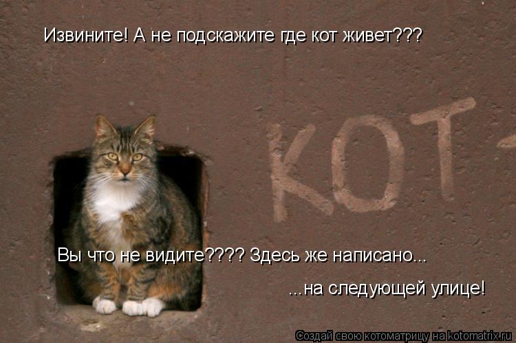 Котоматрица: Извините! А не подскажите где кот живет??? Вы что не видите???? Здесь же написано...  ...на следующей улице!