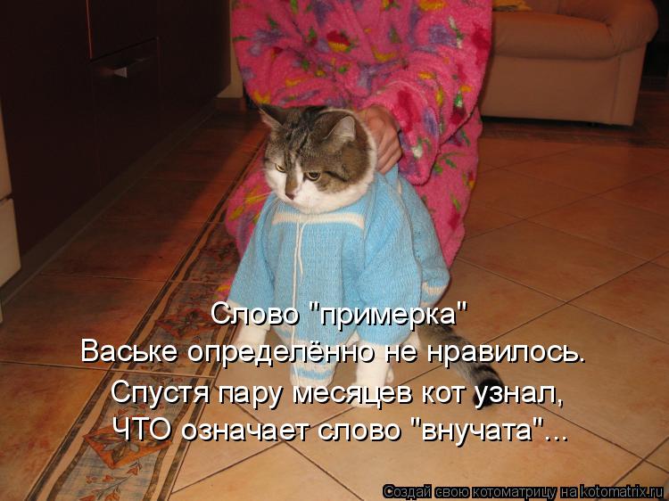 Слово "примерка" Ваське определённо не нравилось. ЧТО означает слово "внучата"... Спустя пару месяцев... Котоматрица: Слово "примерка" Ваське определённо не нравилось. ЧТО означает слово "внучата"... Спустя пару месяцев кот узнал,