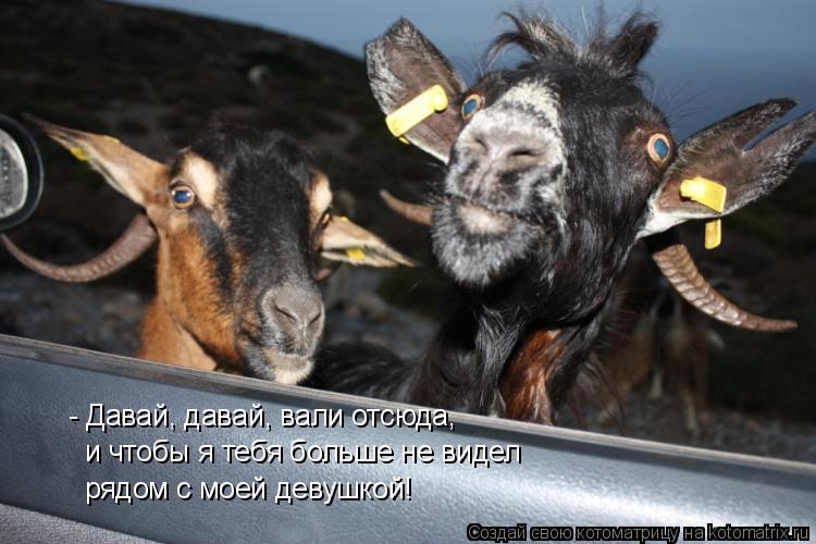 Котоматрица: - Давай, давай, вали отсюда,  и чтобы я тебя больше не видел  рядом с моей девушкой!