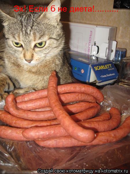Котоматрица: Эх! Если б не диета!..........