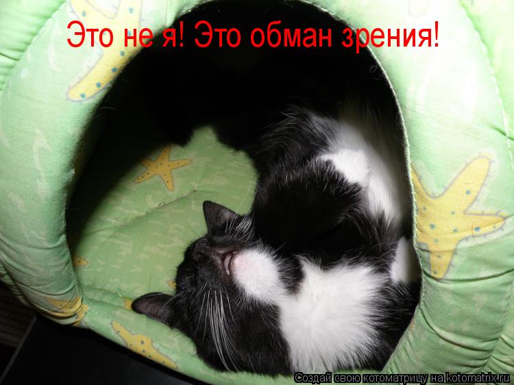 Котоматрица: Это не я! Это обман зрения!