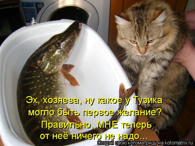 Котоматрица: Эх, хозяева, ну какое у Тузика могло быть первое желание? Правильно, МНЕ теперь от неё ничего не надо...
