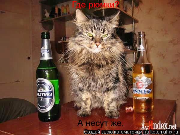 Котоматрица: Где рюмки? А несут же.