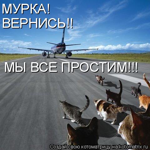 Котоматрица: МУРКА! ВЕРНИСЬ!! МЫ ВСЕ ПРОСТИМ!!!