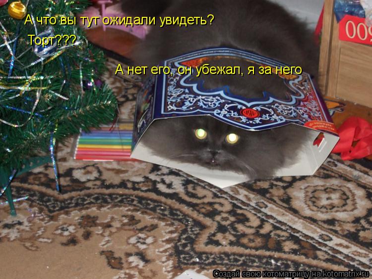 Котоматрица: А что вы тут ожидали увидеть? Торт??? А нет его, он убежал, я за него