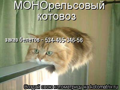 Котоматрица: МОНОрельсовый котовоз заказ белетов - 534-465-346-56