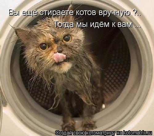 Вы ещё стираете котов вручную ?.. Тогда мы идём к вам ...... Котоматрица: Вы ещё стираете котов вручную ?.. Тогда мы идём к вам ...