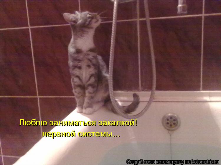 Люблю заниматься закалкой! нервной системы...... Котоматрица: Люблю заниматься закалкой! нервной системы...
