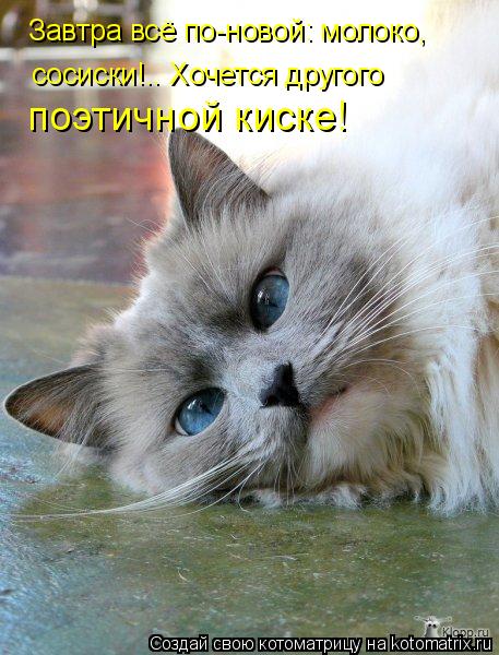 Завтра всё по-новой: молоко, сосиски!.. Хочется другого поэтичной киске!... Котоматрица: Завтра всё по-новой: молоко, сосиски!.. Хочется другого поэтичной киске!