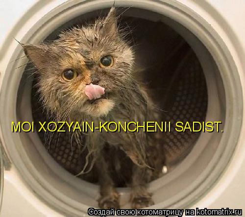 MOI XOZYAIN-KONCHENII SADIST.... Котоматрица: MOI XOZYAIN-KONCHENII SADIST.