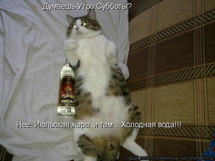 Думаешь Утро Субботы? Нее, Июльская жара, и там... Холодная вода!!!... Котоматрица: Думаешь Утро Субботы? Нее, Июльская жара, и там... Холодная вода!!!