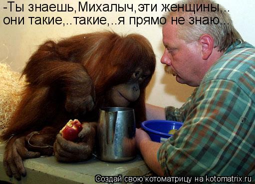 -Ты знаешь,Михалыч,эти женщины,.. они такие,..такие,..я прямо не знаю...... Котоматрица: -Ты знаешь,Михалыч,эти женщины,.. они такие,..такие,..я прямо не знаю...