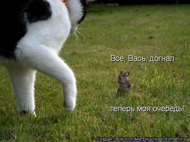 Все, Вась, догнал теперь моя очередь!... Котоматрица: Все, Вась, догнал теперь моя очередь!