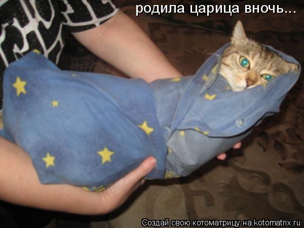 Котоматрица: родила царица вночь...