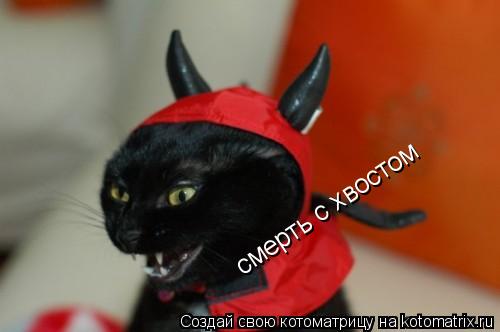 Котоматрица: смерть с хвостом