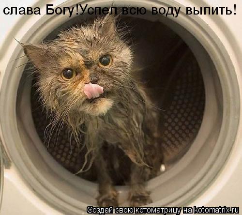 Котоматрица: слава Богу!Успел всю воду выпить!
