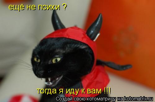 Котоматрица: ещё не психи ? тогда я иду к вам !!!