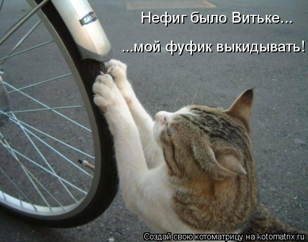 Котоматрица: Нефиг было Витьке... ...мой фуфик выкидывать!
