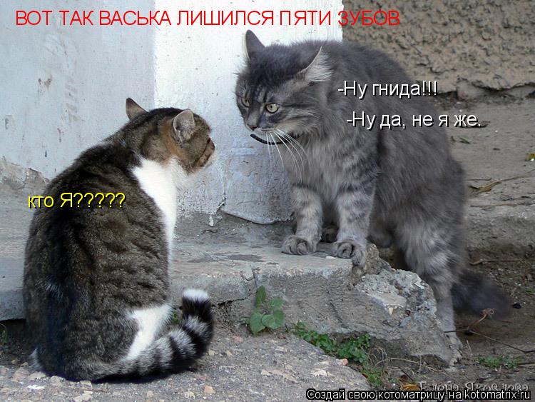 кто Я????? -Ну гнида!!! -Ну да, не я же. ВОТ ТАК ВАСЬКА ЛИШИЛСЯ ПЯТИ ЗУБОВ... Котоматрица: кто Я????? -Ну гнида!!! -Ну да, не я же. ВОТ ТАК ВАСЬКА ЛИШИЛСЯ ПЯТИ ЗУБОВ