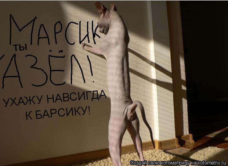 УХАЖУ НАВСИГДА К БАРСИКУ! ты... Котоматрица: УХАЖУ НАВСИГДА К БАРСИКУ! ты