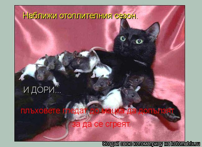 Наближи отоплителния сезон. И ДОРИ... плъховете гледат до мацка да допълзят за да се сгреят.... Котоматрица: Наближи отоплителния сезон. И ДОРИ... плъховете гледат до мацка да допълзят за да се сгреят.