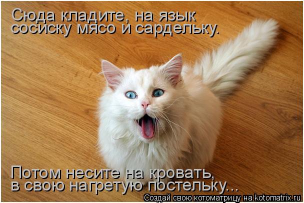 Сюда кладите, на язык сосиску мясо и сардельку. в свою нагретую постельку... Потом несите на кровать,... Котоматрица: Сюда кладите, на язык сосиску мясо и сардельку. в свою нагретую постельку... Потом несите на кровать,