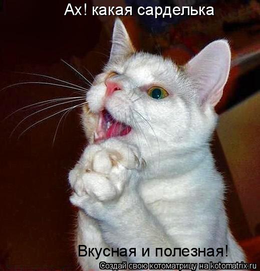 Ах! какая сарделька Вкусная и полезная!... Котоматрица: Ах! какая сарделька Вкусная и полезная!