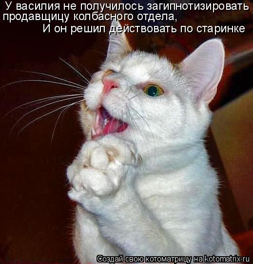 У василия не получилось загипнотизировать продавщицу колбасного отдела, И он решил действовать по ста... Котоматрица: У василия не получилось загипнотизировать продавщицу колбасного отдела, И он решил действовать по старинке