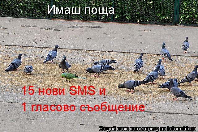Имаш поща 15 нови SMS и 1 гласово съобщение... Котоматрица: Имаш поща 15 нови SMS и 1 гласово съобщение