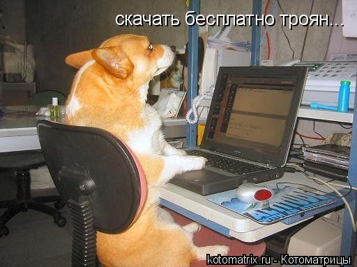 скачать бесплатно троян...... Котоматрица: скачать бесплатно троян...