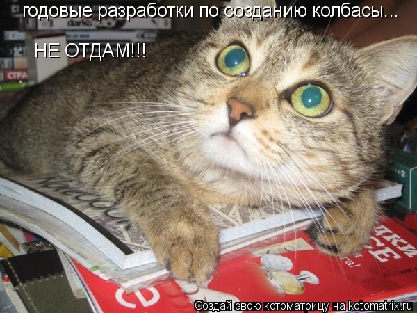 годовые разработки по созданию колбасы... НЕ ОТДАМ!!!... Котоматрица: годовые разработки по созданию колбасы... НЕ ОТДАМ!!!