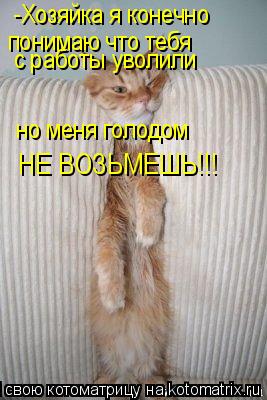-Хозяйка я конечно понимаю что тебя с работы уволили НЕ ВОЗЬМЕШЬ!!! но меня голодом... Котоматрица: -Хозяйка я конечно понимаю что тебя с работы уволили НЕ ВОЗЬМЕШЬ!!! но меня голодом