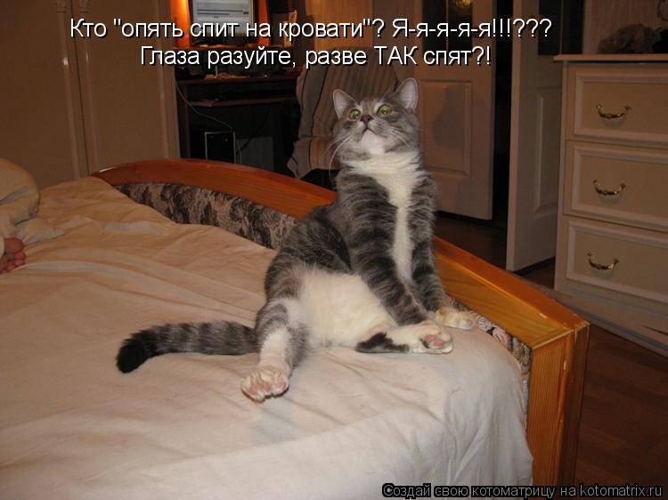 Кто "опять спит на кровати"? Я-я-я-я-я!!!??? Глаза разуйте, разве ТАК спят?!... Котоматрица: Кто "опять спит на кровати"? Я-я-я-я-я!!!??? Глаза разуйте, разве ТАК спят?!