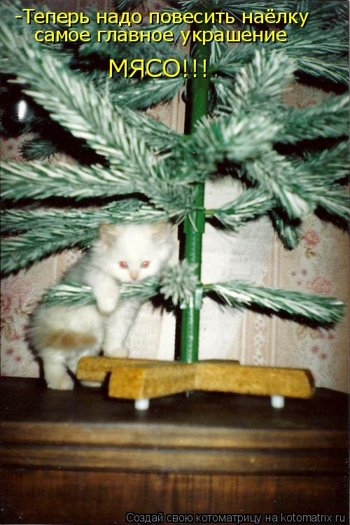 -Теперь надо повесить наёлку самое главное украшение МЯСО!!!... Котоматрица: -Теперь надо повесить наёлку самое главное украшение МЯСО!!!