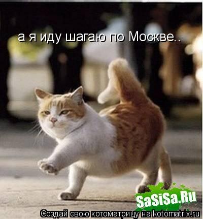 а я иду шагаю по Москве..... Котоматрица: а я иду шагаю по Москве..