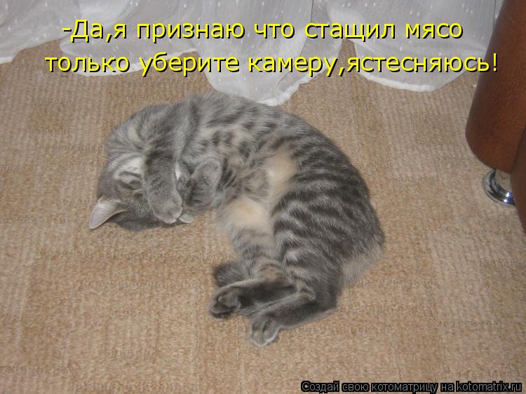 -Да,я признаю что стащил мясо только уберите камеру,ястесняюсь!... Котоматрица: -Да,я признаю что стащил мясо только уберите камеру,ястесняюсь!