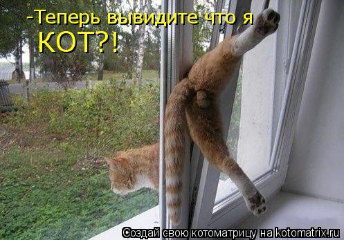 -Теперь вывидите что я КОТ?!... Котоматрица: -Теперь вывидите что я КОТ?!