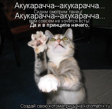 Акукарачча--акукарачча... Сидим смотрим танец! Акукарачча--акукарачча... вам совсем не хочется есть! ... Котоматрица: Акукарачча--акукарачча... Сидим смотрим танец! Акукарачча--акукарачча... вам совсем не хочется есть! Да и в принципе нечего.