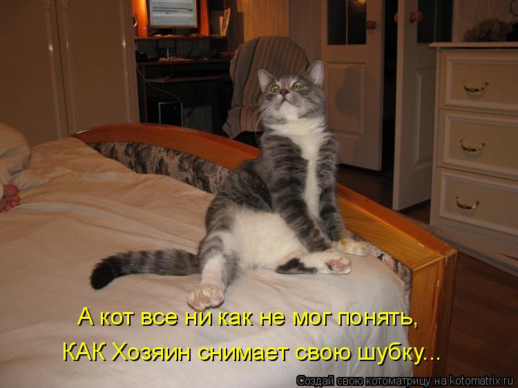 А кот все ни как не мог понять, КАК Хозяин снимает свою шубку...... Котоматрица: А кот все ни как не мог понять, КАК Хозяин снимает свою шубку...