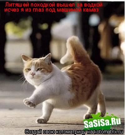 Котоматрица: Литяшей походкой вышел за водкой исчез я из глаз под машиной камаз