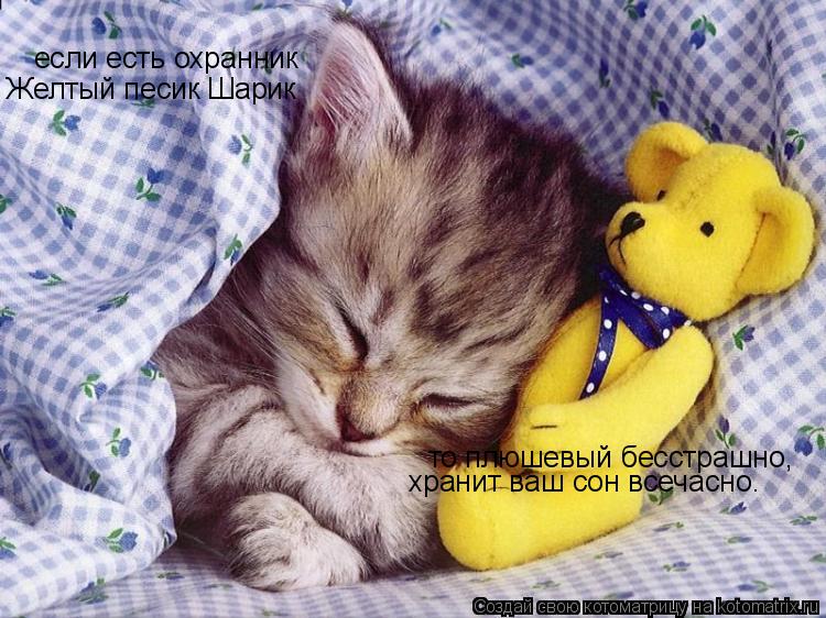 Котоматрица: если есть охранник Желтый песик Шарик то плюшевый бесстрашно, хранит ваш сон всечасно.