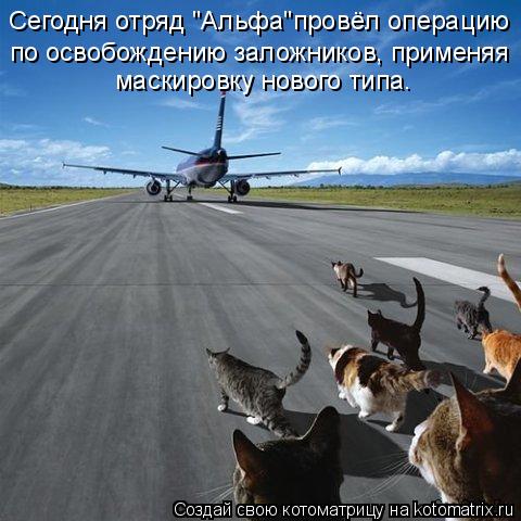 Сегодня отряд "Альфа"провёл операцию по освобождению заложников, применяя маскировку нового типа.... Котоматрица: Сегодня отряд "Альфа"провёл операцию по освобождению заложников, применяя маскировку нового типа.