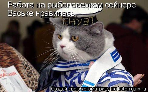 Работа на рыболовецком сейнере Ваське нравилась.... Котоматрица: Работа на рыболовецком сейнере Ваське нравилась.